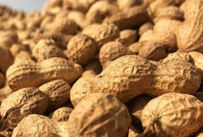 Mayıs ayının zam şampiyonu yer fıstığı