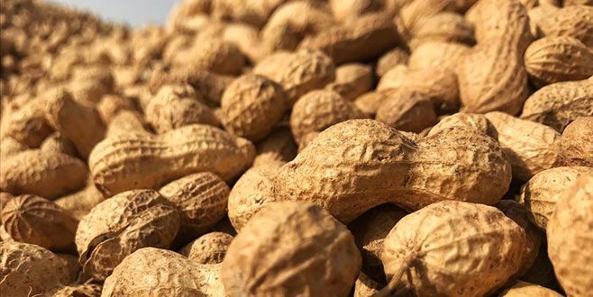 Mayıs ayının zam şampiyonu yer fıstığı