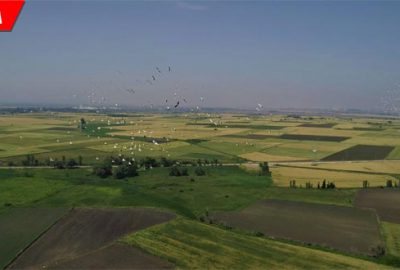 Gökyüzünden büyülü dans