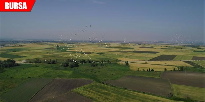 Gökyüzünden büyülü dans Gökyüzünden büyülü dans
