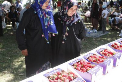 Çilek festivali büyük ilgi gördü