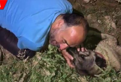 Köpeğinin başında gözyaşı döktü