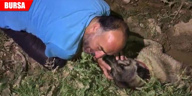 Köpeğinin başında gözyaşı döktü Köpeğinin başında gözyaşı döktü