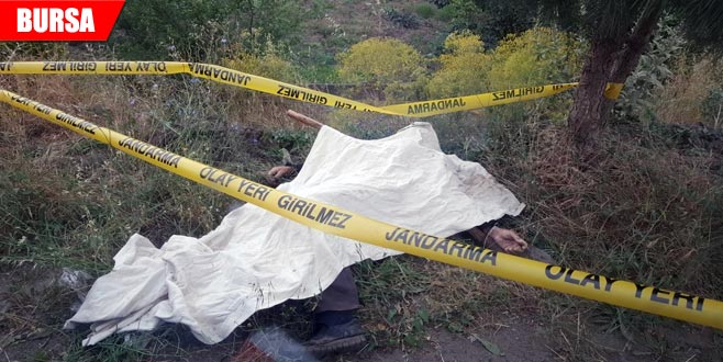 Sabaha kadar dönmeyince… Oğlu tarafından ölü bulundu Sabaha kadar dönmeyince… Oğlu tarafından ölü bulundu