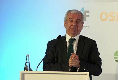 Mali müşavirlerden yeşil pasaport istiyor