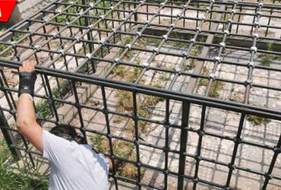 Kafese alınan tarihi mozaik yabani otlardan görünmüyor