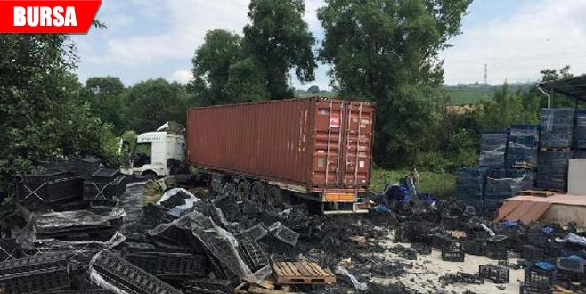 Kontrolden çıkan TIR tarlaya girdi