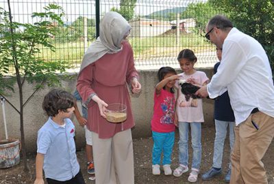 Çocuklar okulda tavuk besliyor