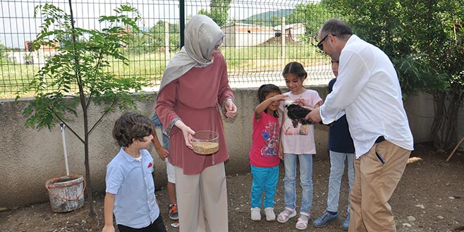 Çocuklar okulda tavuk besliyor
