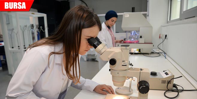 Aylık 4 bin 500 lira bursla staja başladılar