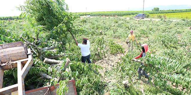 Bursa şeftalisi zor günler yaşıyor