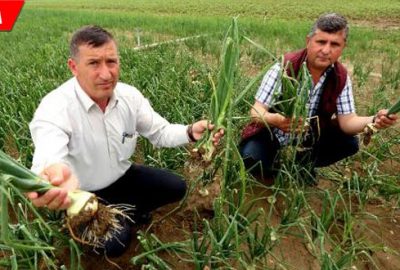 15 dakika yetti! Ovayı dolu vurdu