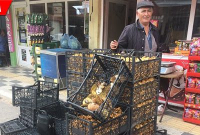 Ayı mantarı Keleslilerin yüzünü güldürdü