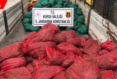 Jandarma’dan baskın: 9 ton ele geçirildi, 14 gözaltı
