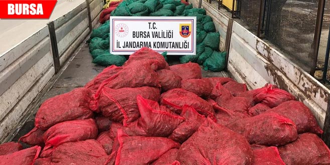 Jandarma’dan baskın: 9 ton ele geçirildi, 14 gözaltı