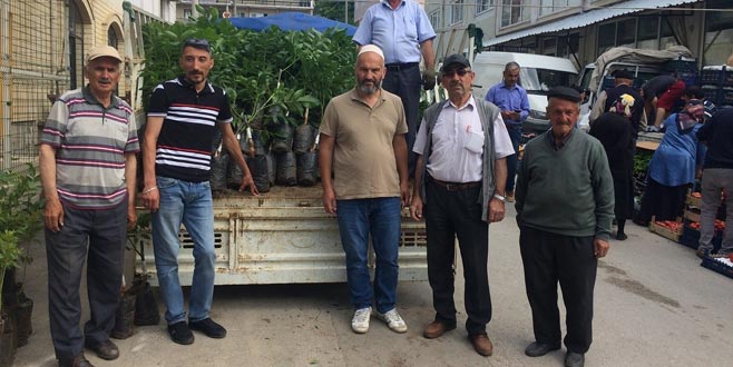 Keles Ziraat Odası ceviz ve badem fidanı dağıtıyor Keles Ziraat Odası ceviz ve badem fidanı dağıtıyor