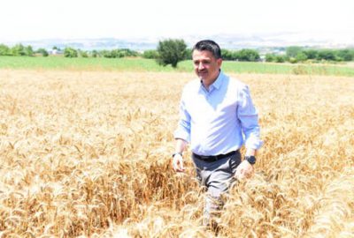 Buğday için iyi bir fiyat verdik