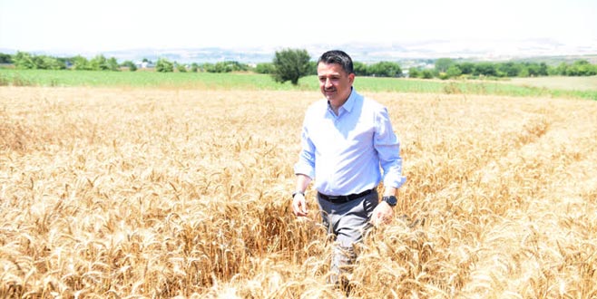 Buğday için iyi bir fiyat verdik