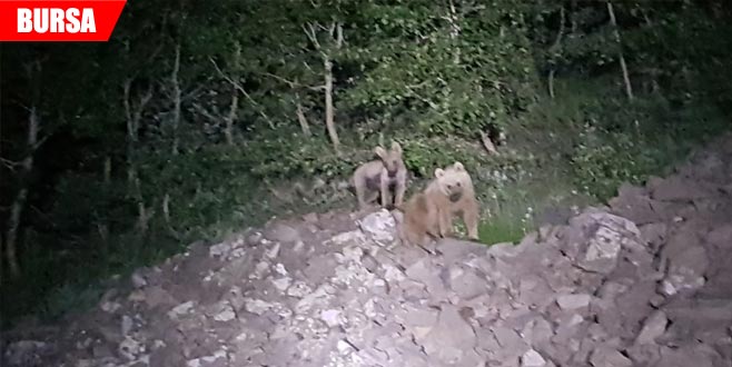 Korkudan sabaha kadar uyutmadılar Korkudan sabaha kadar uyutmadılar