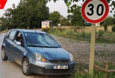 Yola çıkan at kazaya neden oldu