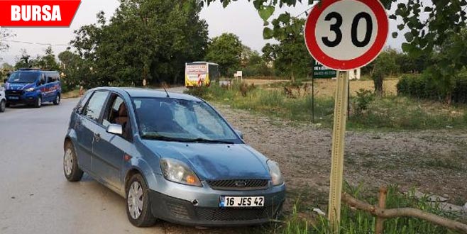 Yola çıkan at kazaya neden oldu