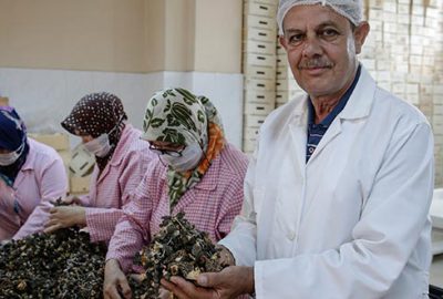 Kuzu göbeği’nin kilogramı 250 Euro’ya ihraç ediliyor