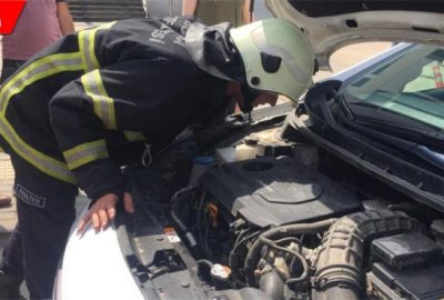 Araca sıkışan kediye ‘playback’ kurtarma