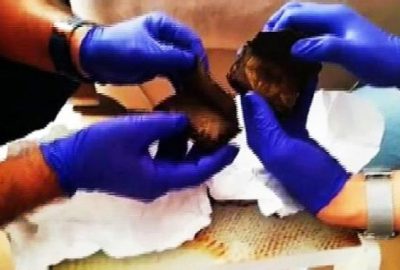 Bursa’da ele geçirildi! Değeri 10 milyon lira