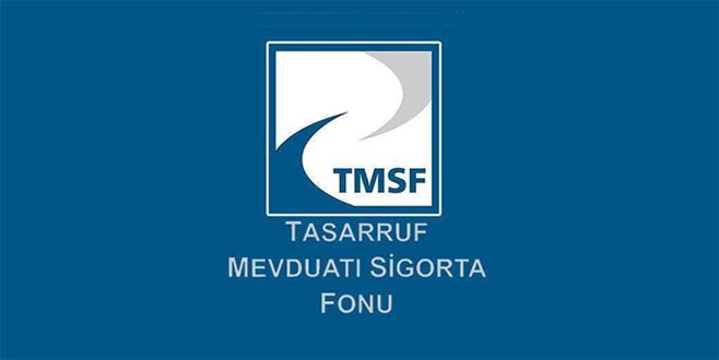 TMSF’ye devredilen 885 şirketin aktifi 60 milyar TL