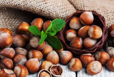 Fındık üreticisi mutlu