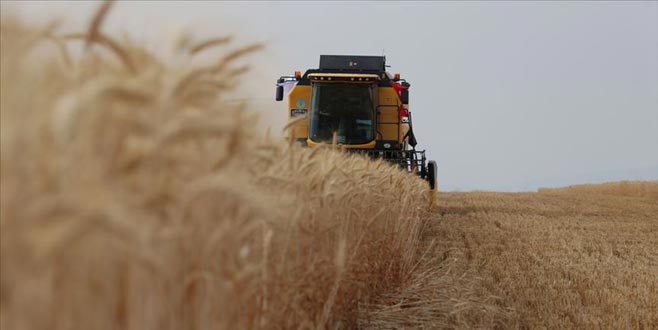 Gereken tedbirler alınacak