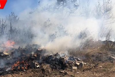 20 dönümlük alan alevlere teslim oldu