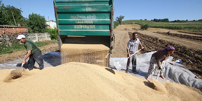 TMO’dan Yenişehir’e geçici alım merkezi