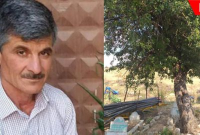 Çıktığı ağaçta yanlışlıkla kendisini vurdu