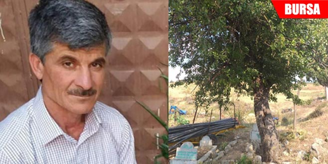 Çıktığı ağaçta yanlışlıkla kendisini vurdu Çıktığı ağaçta yanlışlıkla kendisini vurdu