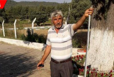 Tarlada 2 metre boyunda yılan yakalandı