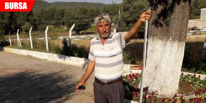 Tarlada 2 metre boyunda yılan yakalandı