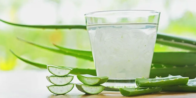 Yanıklara karşı aloe vera!