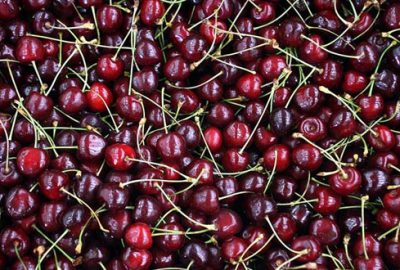 Türk kirazı ‘Çin Seddini aşmayı’ başardı