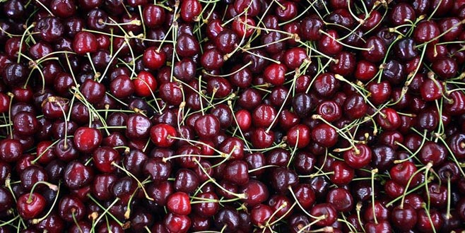 Türk kirazı ‘Çin Seddini aşmayı’ başardı