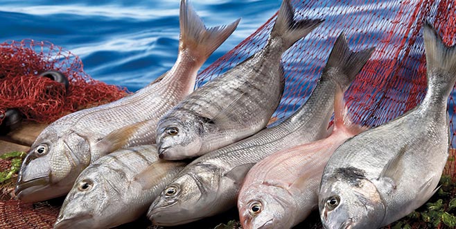 ABD ve Rusya Türk balığının lezzetinde birleşti