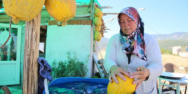 Kırkağaç kavununda beklenti büyük