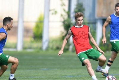 Timsah sıkı çalışıyor