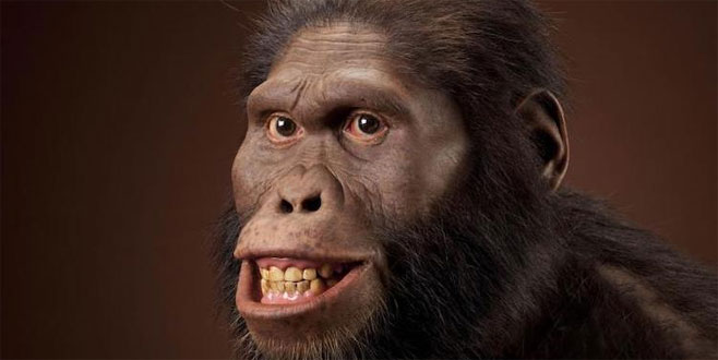 Bu tür yavrusunu bir yıl emziriyordu Bu tür yavrusunu bir yıl emziriyordu