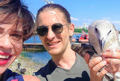 Yaralı martıyı kurtardı