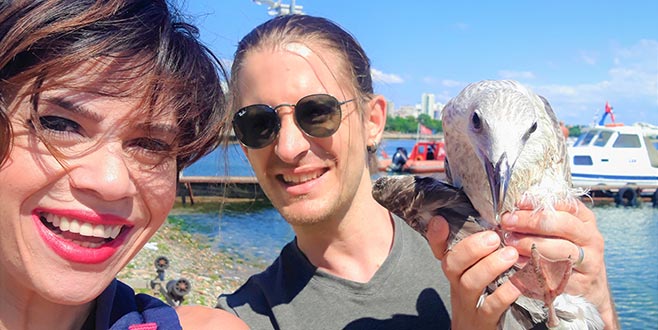 Yaralı martıyı kurtardı