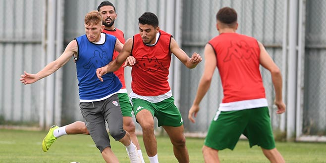 Yalçın Hoca neler yapıyor?