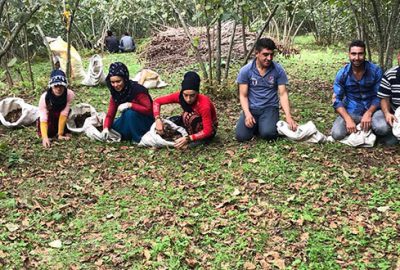 20 bin tarım işçisi fındık toplayacak