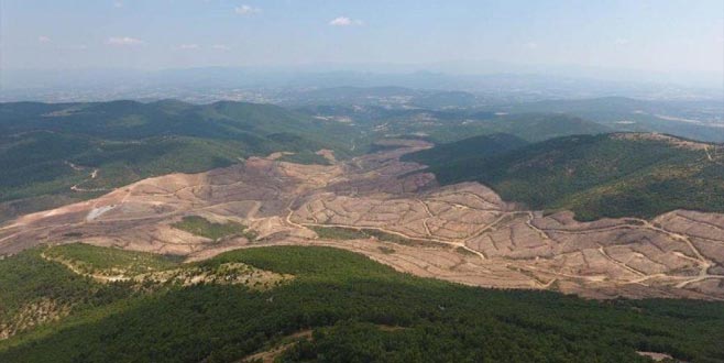 Bakanlık’tan Kaz Dağları’nda altın aranmasına ilişkin açıklama