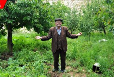 Yoldan geçenler yesin diye ‘Hayrat Bahçesi’ yaptı